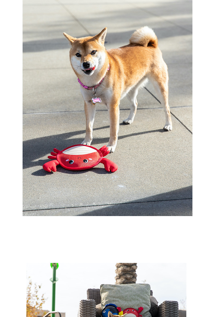 product images