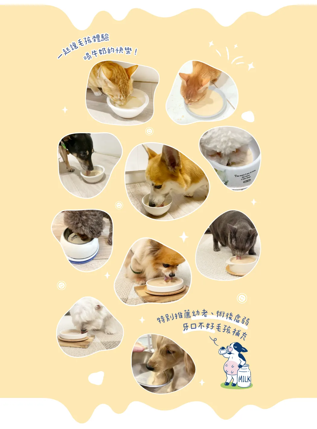 product images