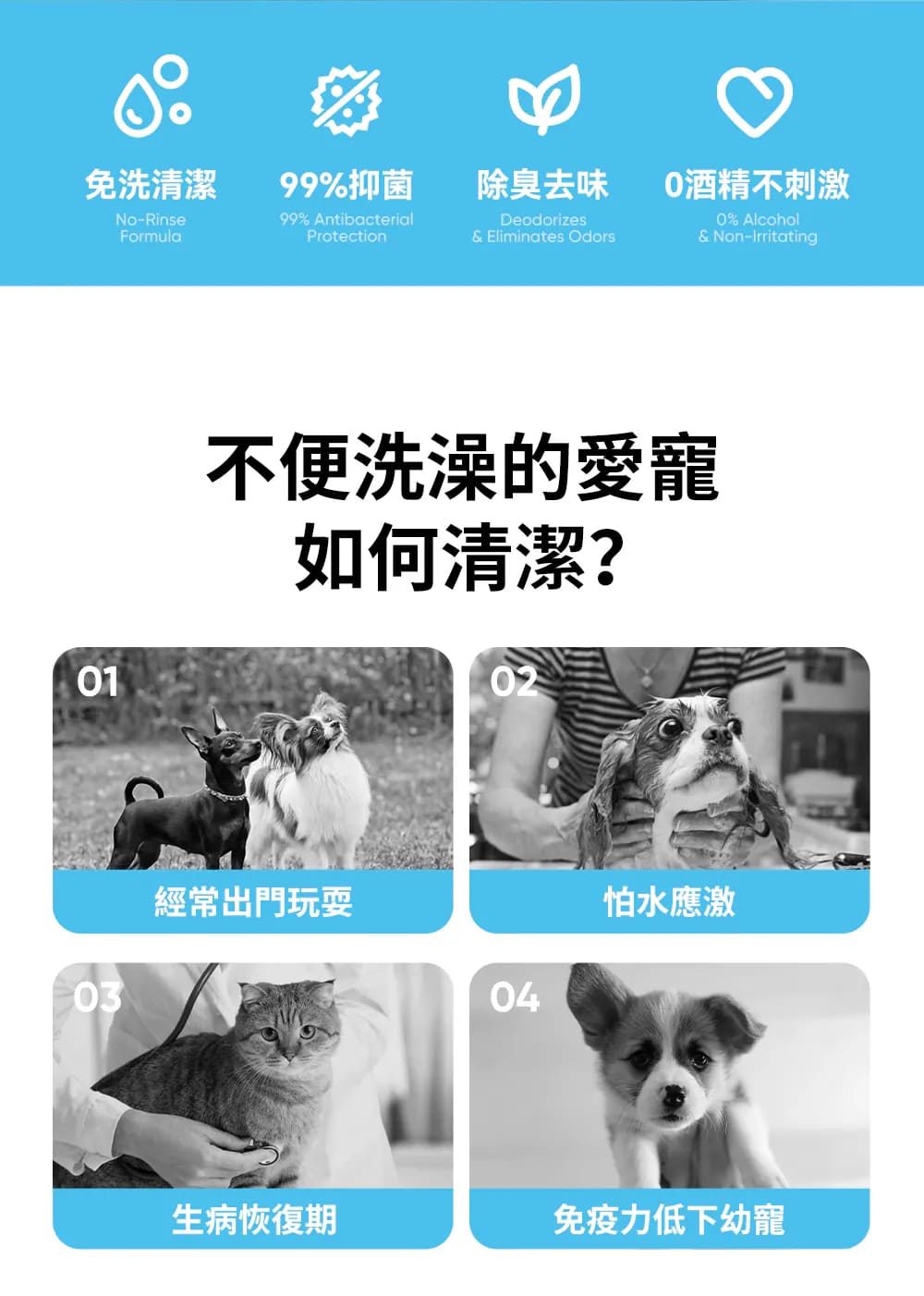 product images
